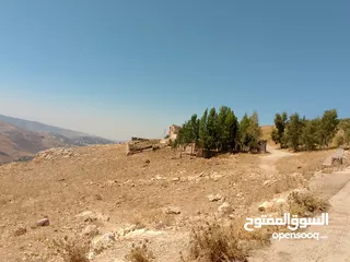  2 للبيع 4دونم السلط حوض الفزره قرب السرو مستويه مطله جميله بسعر مغري جدا جدا