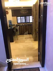  10 شقه مفروشه دير غبار