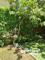  2 فيلا مستقله بالرحاب واحد ،A rehab villa in New Cairo.