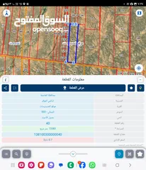  1 للبيع قطعه ارض 73 دونم في المديسسات حوض الشمالي قرب عمان الجديده