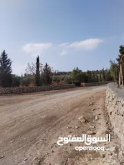  5 6 دنمات مخدومات منطقة مزارع وشاليهات