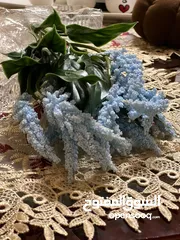  12 كل مايلزم مسكات العرائس وباقات الورد الصناعي