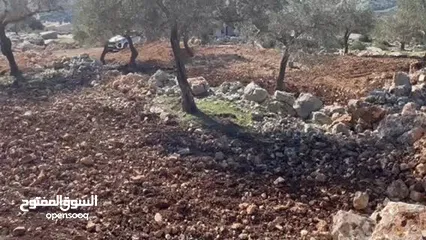  3 قطعة ارض للبيع في بيرزيت