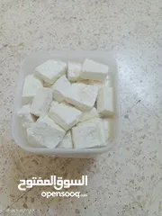  2 متوفر جبنه غنم وجبنه معز