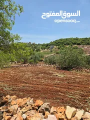  20 راس منيف 2 دونم راس منيف قوشان مستقل  عاليه و كاشفه  من مالك مباشره قريبه من جميع الخدمات راقيه