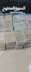  5 مطلوب طيور بدل على عسل
