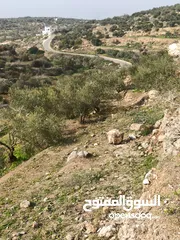  15 القبة الذهبية  شارع بلعا-دير الغصون