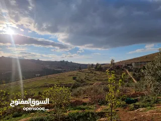  27 مزرعه للبيع  5 دونمات مع بيت