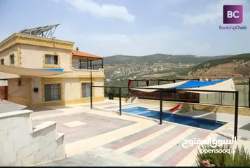 29 شالية طلة الجبل "جرش"الاطلالة الاجمل على الإطلاق (يرجى قراءة الاعلان لمعرفة التفاصيل )