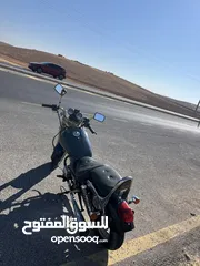  5 هارلي الجمل للبيع