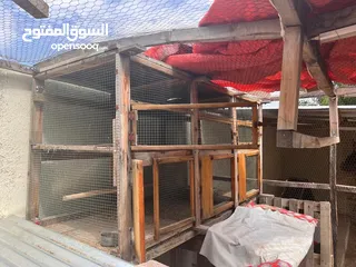  5 Big Hand Made cage for birds