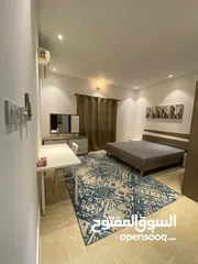  3 APARTMENT FOR RENT IN SEEF FULLY FURNISHED 2BHK