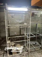  5 Cage  للبيع قفص