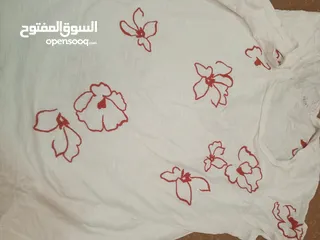  13 بلايز ستاتي