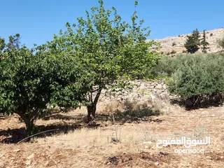  3 ارض للبيع في بدر الجديده 699م في الرباحيه الجنوبيه تبعد عن مسجد الحدائق 7 دقائق
