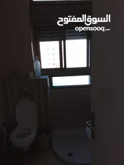  7 روف عباره عن استوديو