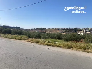  6 قطعتان ارض للبيع احدهما تجاري و الاخرى سكني ب على مدخل ذيبان /مادبا
