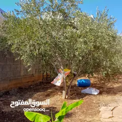  2 منزل للبيع