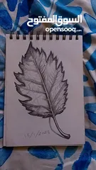  2 بيع رسمات متنوعة على حسب طلبك والاسعار على حسب الرسمة