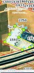  2 ارض استثمارية للايجار حاصلة على ترخيص تجاري