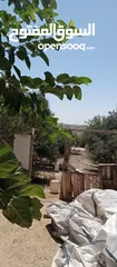  1 بيوت للبيع