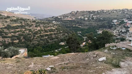  1 ارض مميزة بسعر خاص للبيع مقابل مدرسة السلط الثانوية للبنين، بإطلالة جميلة على وادي شعيب