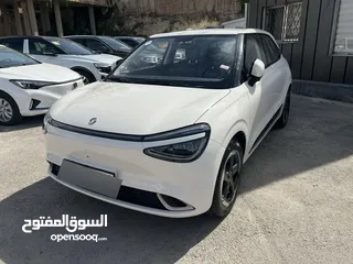  1 Dongfeng Nammi Box 2023