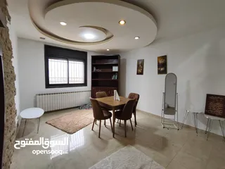  11 شقة مفروشة للإيجار في المصايف