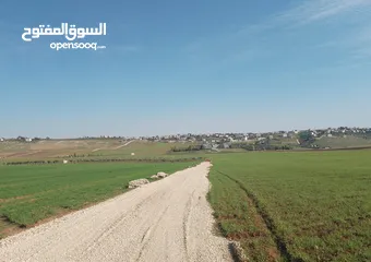  8 مادبا ماعين غرابيات ام راسين قطعة ارض زراعية بمنطقة هادئة و مميزة بمساحة 5300 م واصل الخدمات