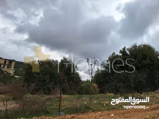  2 ارض للبيع على شارعين خلف مدارس المشرق قرب من دابوق بمساحة 1800 م