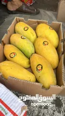  8 Pakistani fresh mangoes sindri coming soon inshallah