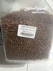  6 أغراض قطة كاملة للبيع شبه جديدة  و جديدة للبيع بنصف السعر ( طعام -رمل-لتر بوكس - صحن -مجرفة )