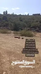  8 ارض مميزة للبيع