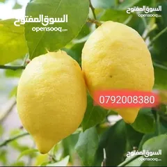  28 مزرعة لقطة مميزة مع بيت طابقين مطلة ومرتفعة