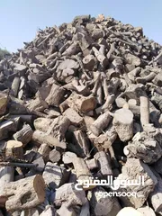  10 حطب زيتون للبيع