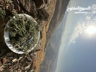  12 ارض مميزة 3ونص دونم للبيع من المالك مباشرة