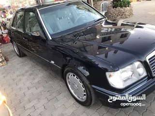  4 بطه بالكرتونة. 94