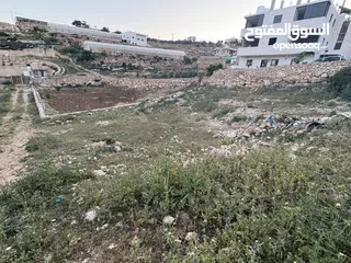  2 ارض في دورا منطقة الصرة تصنيف A طابو