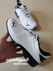  17 حذاء .Puma  اصلي بحال الوكاله لساته جديد وارد أروبي  الواحد ب 35