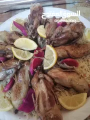  7 طعام جاهز  بيتي