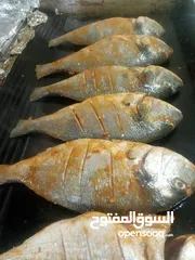  21 شيف طباخ شرقي وغربي وسلطات ابحث عن عمل خبره في الاكل العربي والسلطات