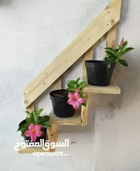  28 جلسات خارجيه للحدائق