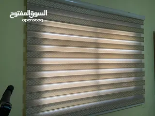  1 برادي زيبرا
