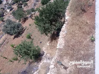  3 اربع مربعة وموقعها بجنن