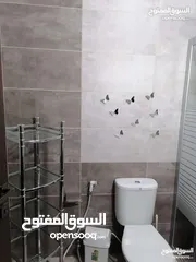  3 Furnished apartment for rent in the Seventh Circle area