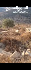  1 ارض للستثمار   دفعه 1000الف دولار والباقي شقق  دفع في سطح مرحبا الارض على شارعين