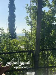  1 منزل للبيع ع شارع الرئيسي