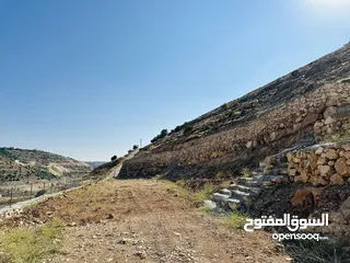  4 قطعة ارض 3 نمر فرش الهوا