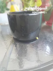  2 مزهريات أو قوار زراعة .