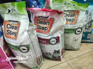  1 رمل قطط كربون كلين ستيب